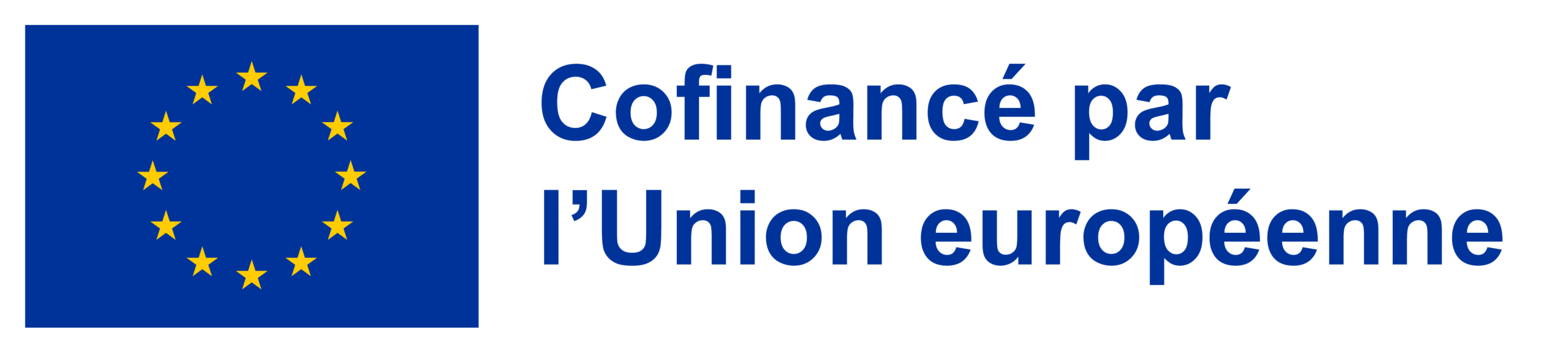 Co-funded by the European Union