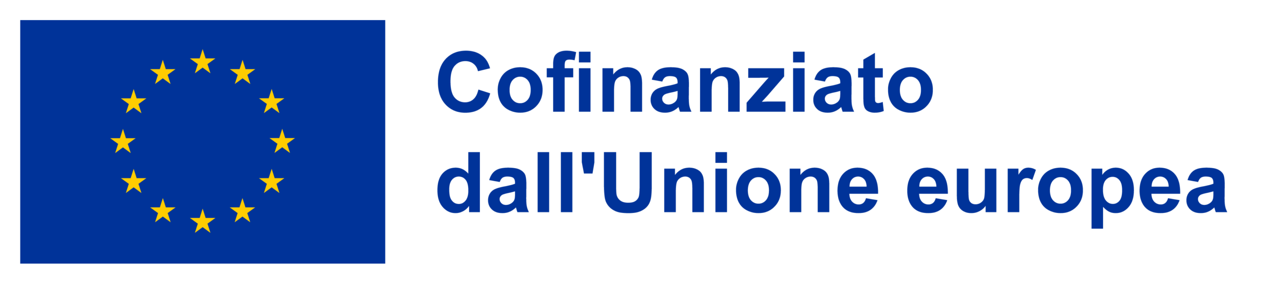 Co-funded by the European Union